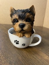 Teacup Yorkshire Pup Adorable