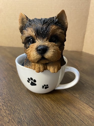 Teacup yorkshire pup adorable - yorkshire,