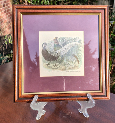 Framed antique victorian - victorian, hand