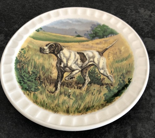Vintage hunting dog scene - dog,