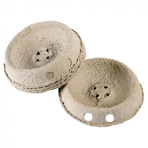 Dandynest nestbowl racing - dandynest,