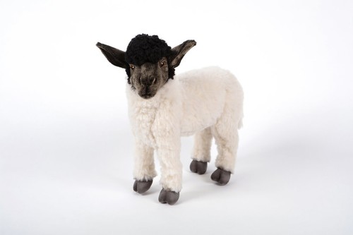 Hansa 7822 suffolk sheep - 7822,
