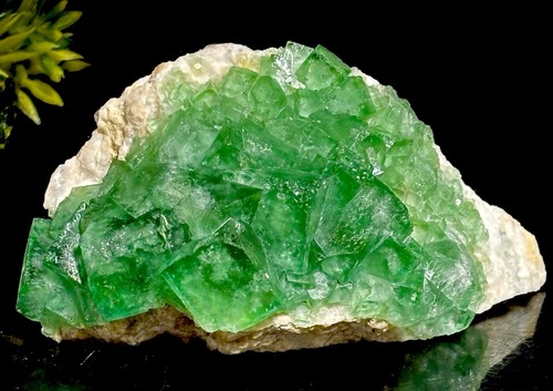 8mm emerald green fluorite - green,