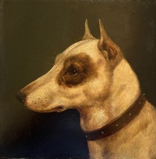 Edward Aistrop, Victorian oil painting of a terrier's head