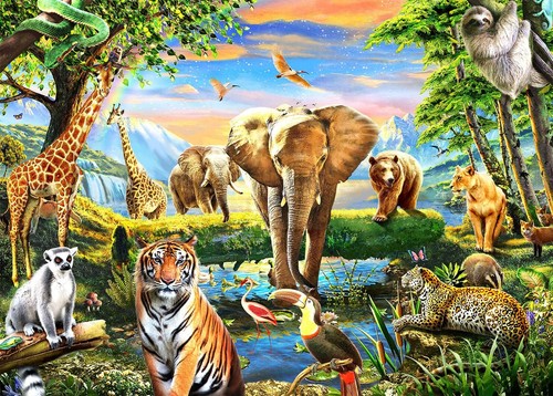 Jigsaw puzzles 1000 - jigsaw, for