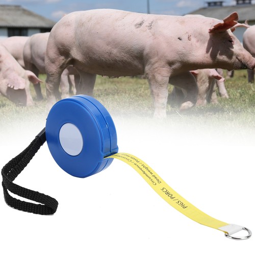 Retractable body weight - retractable,