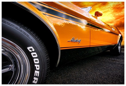 13x19 1973 ford mustang - 1973,