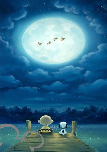 Charlie brown and snoopy - charlie,