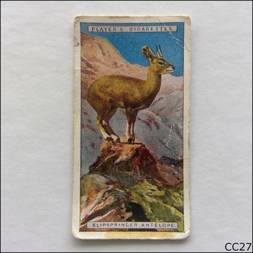 John player natural history 3 - player,