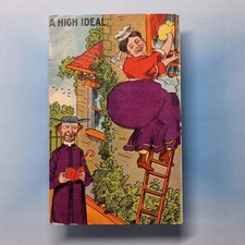Comic Postcard 1910 Fat Lady Maid Vicar Big Bottom Ladder Chromo