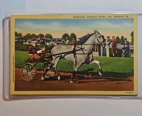 1944 postcard greyhound - ", "