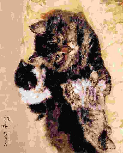Photo ronner knip henriette - a4,