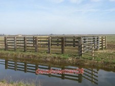PHOTO  CATTLE HANDLING PEN