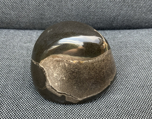 Polished fossil bone - polished,
