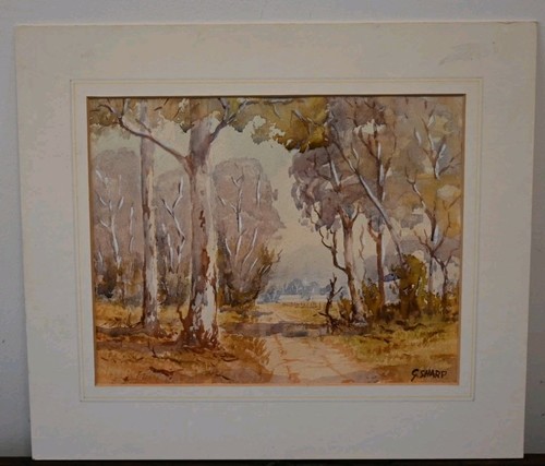 Sharp australian artist - australian,