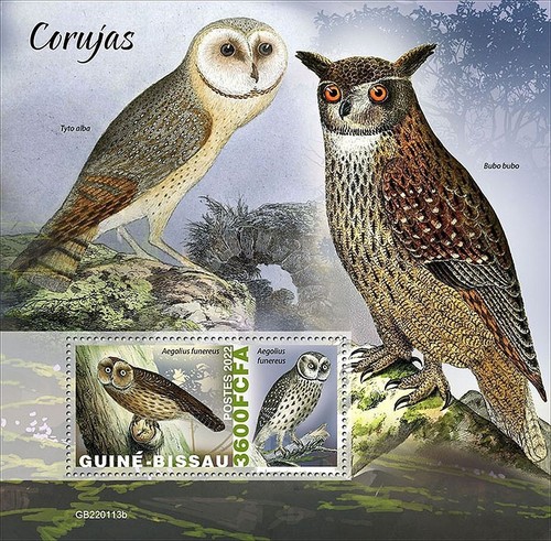 Owls birds prey - prey, birds/bird