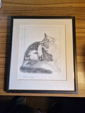 Bob Bowdige Cat 'Fleabag'