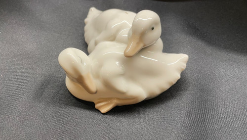 Snuggling lying down - lying, ducks