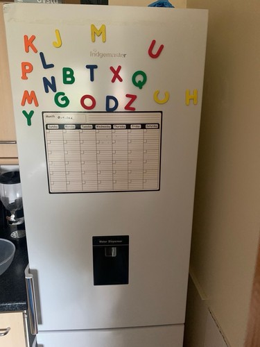 186cm tall freestanding fridge - tall,