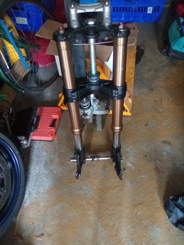 2013 triumph 1050 - 2013, triple