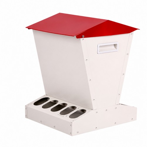 Poultry feeder - poultry,