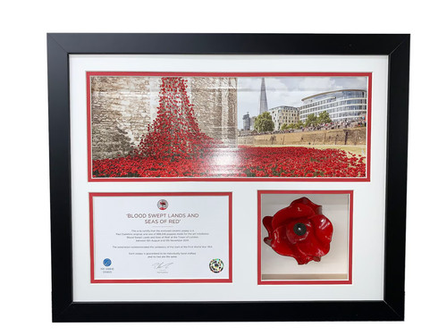 Tower london poppy frame - frame, 3d