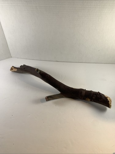 Manzanita branch sculptural - branch,