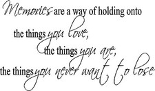 MEMORIES NEVER WANT TO LOSE