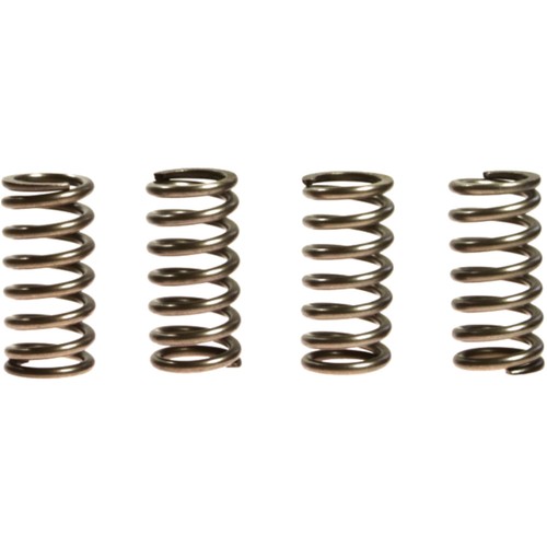Ebc heavy duty - clutch, springs