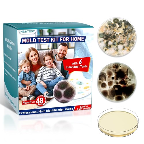 Mold test kit for - kit, –