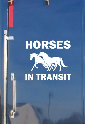 Horses transit horsebox - horses,