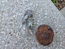 WW2 Original German Badges