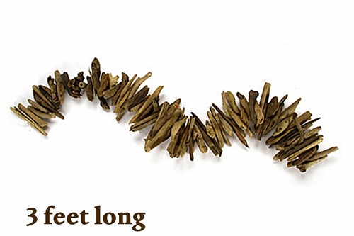 Rustic natural driftwood - rustic,