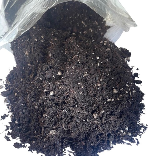 House plant compost - house, potting