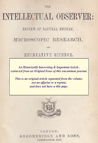Sticklebacks and other - and,