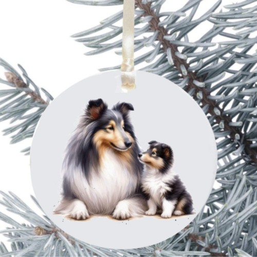 Rough collie dog - rough,