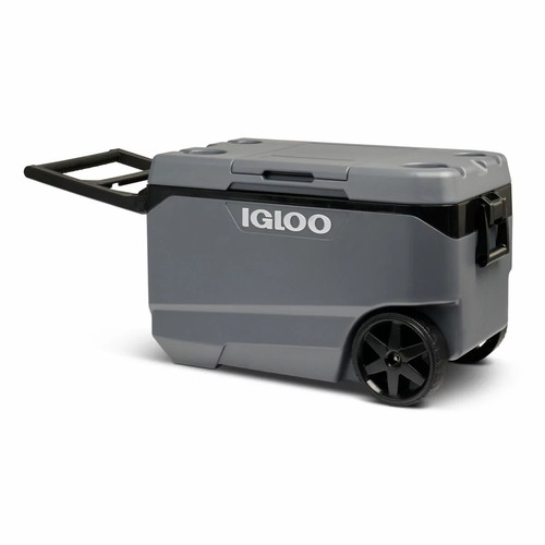 Igloo maxcold quart - maxcold,