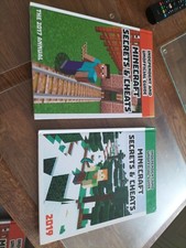 Minecraft Books Set Of Two.