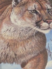 Stephen Gayford Winter Pursuit