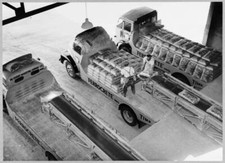 Lorries in the lorry loading