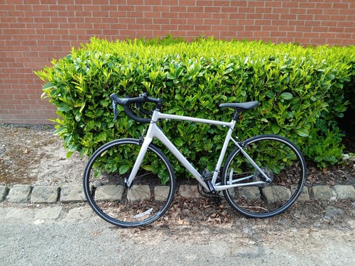 Cannondale caad optimo road - cannondale,