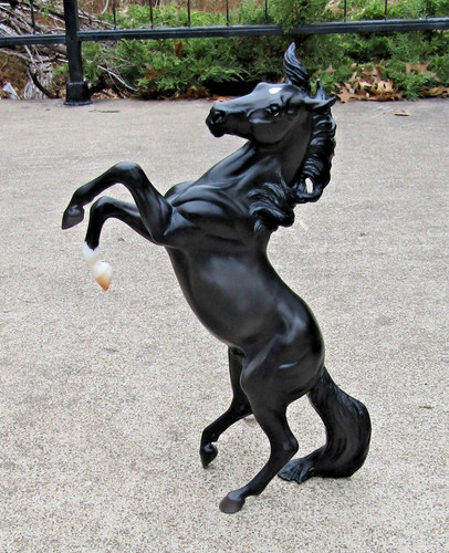 Black beauty 2020 - ~,