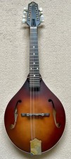 The Loar LM-110 Honey Creek