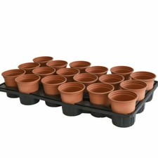 T&M Plastic Garden Flower