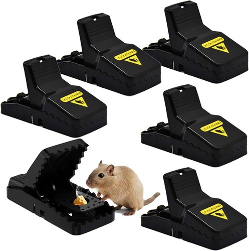 Mouse traps mice pack - mouse,