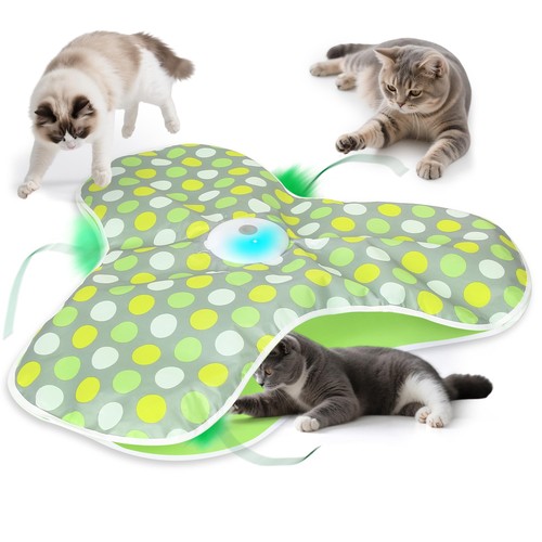 Interactive cat toy - hide, and