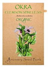 Organic OKRA 🌱 CLEMSON