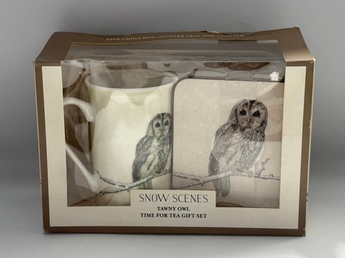 Snow scenes tawny owl fine - snow,