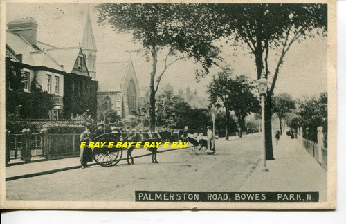 Pony trap on palmerston - pony,