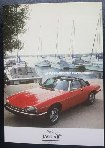 Jaguar xjs cabriolet - jaguar,